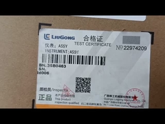 LIUGONG ENSTRUMENT ASSY